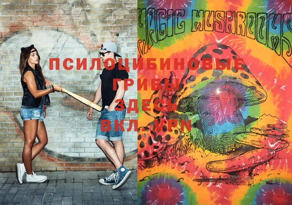 амф Баксан